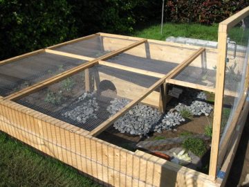 enclos tortue
